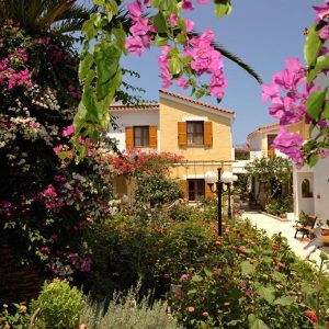 Olympia Village